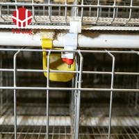 Cage à poulets automatique de type A à 3 niveaux avec alimentation, abreuvement, collecte des œufs, courroie à fumier, abreuvoir à tétine, galvanisée à chaud