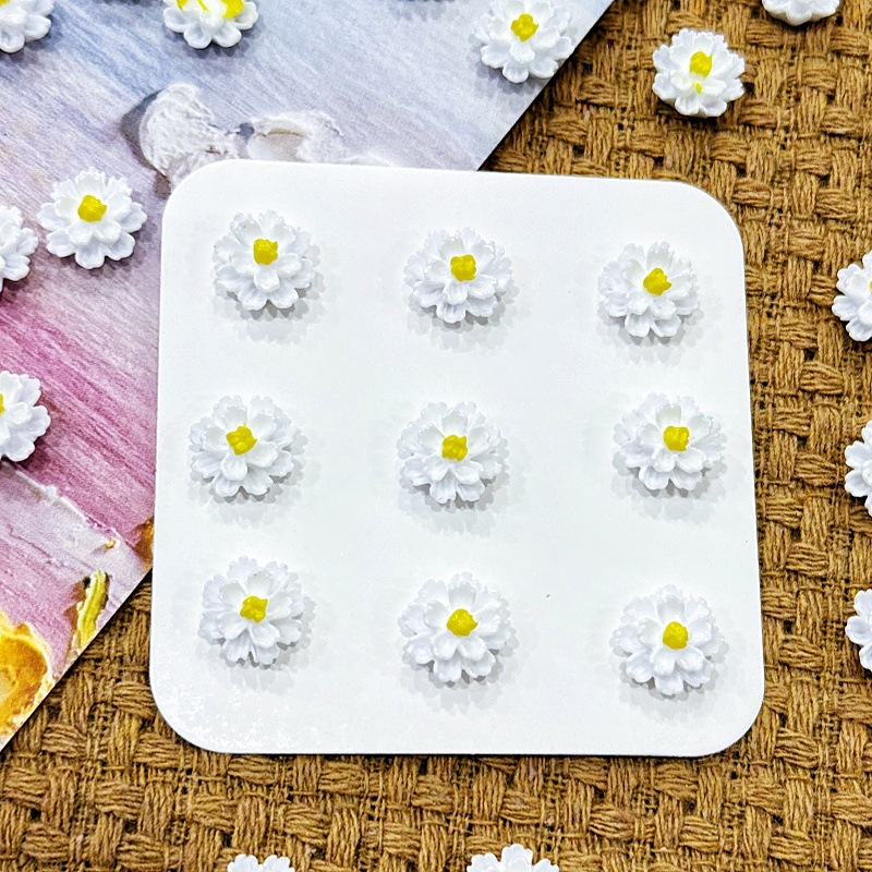 ดอกชบาสองสี 11 มม. - ขาว