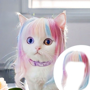 Peluca Universal de Poliéster Larga y Lisa de Color para Mascotas, Gatos, Perros, Bebés, Disfraz de Mascota para el Verano - Product Image 1