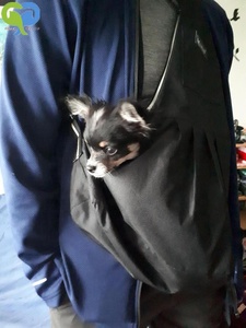 Fabricant En Gros Voyage Cages Pour Animaux <span class=keywords><strong>de</strong></span> compagnie Sacs À Bandoulière Épaule Sac <span class=keywords><strong>de</strong></span> <span class=keywords><strong>Transport</strong></span> pour Chats Chiens - Product Image 2