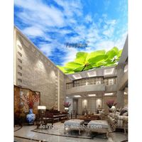 Diseños de Techos Tensados Blue Sky para Decoración de Techos Interiores de Casas