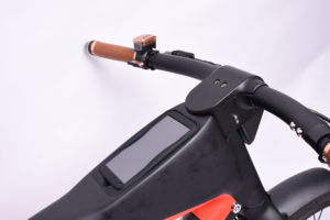 Alta calidad Exxite Europa Futurista Urban E-Bike Xone 26 pulgadas Smarthub Copper Belt Drive City Bike - Product Image 3