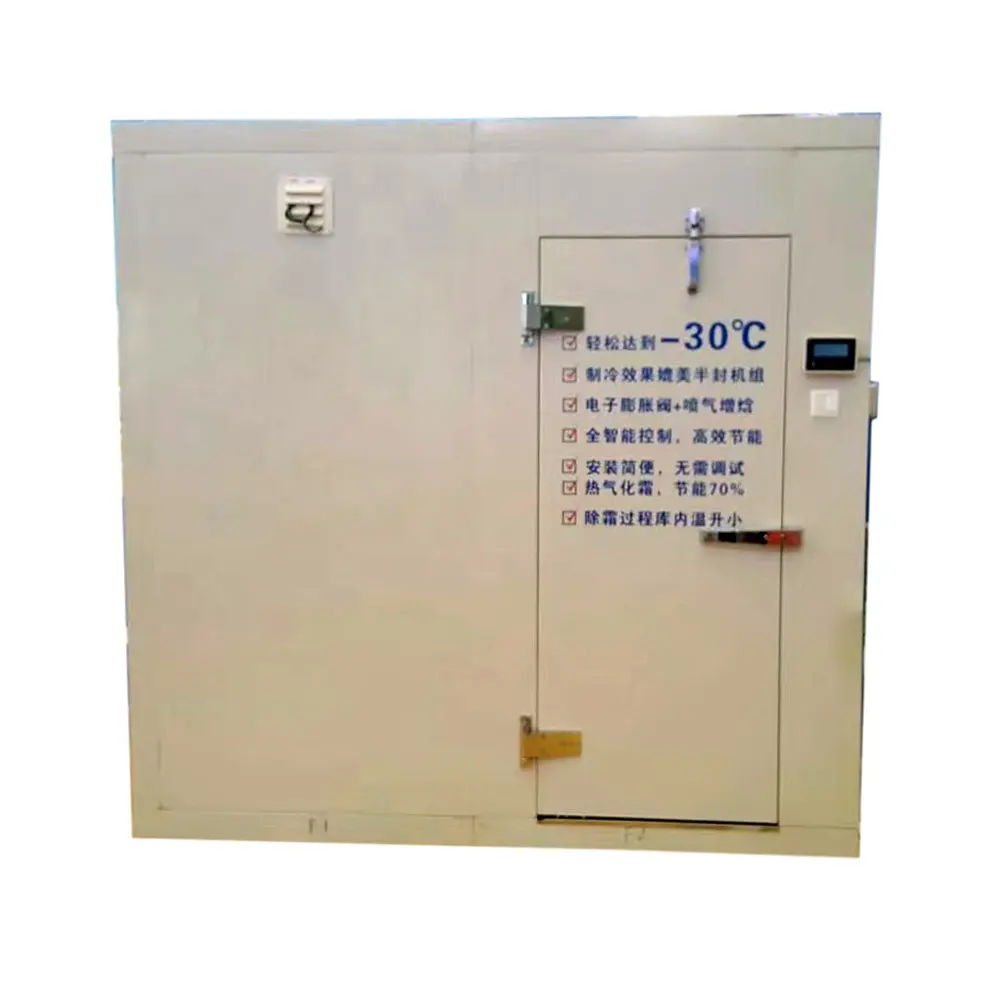 Air Cooler Chiller Refrigeration Equipment Medical Modular Cold Room For Frozen Food