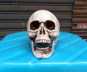 Vari stili <span class=keywords><strong>di</strong></span> Halloween testa <span class=keywords><strong>di</strong></span> teschio <span class=keywords><strong>di</strong></span> <span class=keywords><strong>sangue</strong></span> rosso e layout <span class=keywords><strong>di</strong></span> scena <span class=keywords><strong>di</strong></span> scheletro <span class=keywords><strong>di</strong></span> cadavere secco - Product Image 5