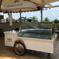Chariot mobile d'extérieur pour glaces, 12 plateaux, camion de crème glacée