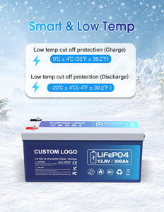 Hochleistungs-12-V-Energiespeicher-LifePo4-Batterie 300Ah 460Ah 560Ah Lithium batterie für APU Camper Backup-Batterie - Product Image 4