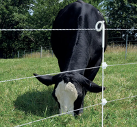 Tuinafscheiding Gereedschapsets 104 Cm Paal Offset Boerderij UV-Gestabiliseerde Buis IJzer Gegalvaniseerd Elektrisch Afrastering Pigtail Paal Moderne Afrastering