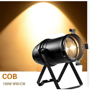 NUEVA LLEGADA 2025 Modelo caliente PAR Light 100W WW/CW Fabricante de iluminación de escenario LED Cob Zoom manual DJ Par - Product Image 1