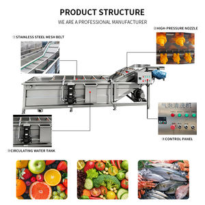 Tam Otomatik Sürekli Su Balık Kabarcık Temizleme Makinesi Sebze Patates ve Havuç Fırçalı Temizleme Yıkama Makinesi - Product Image 1