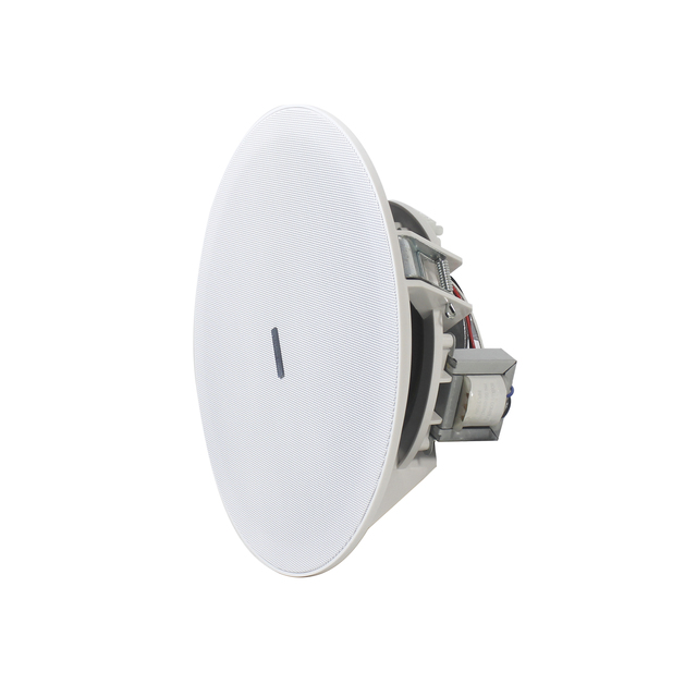 Outdoor Speaker Outdoor Speaker 8 Inch 10W Power at 100V/70V Full Range Speaker
