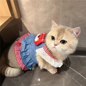 Robe de princesse pour chien, petite taille, pour Teddy, Bichon Frisé, Yorkshire Terrier, jupe respirante de printemps avec porte-chiot intégré - Product Image 2