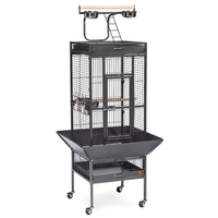 Plateau de nettoyage coulissant en fil métallique pour cage à canaris, perroquets et ara, avec verrou sécurisé, pour magasins, grossistes et salles d'exposition