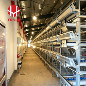 Nuevo Sistema Automático <span class=keywords><strong>de</strong></span> Jaulas Tipo H Yifeng para Gallinas Ponedoras, para 10000, 20000, 50000 Aves, con Bebedero <span class=keywords><strong>de</strong></span> Niple, Alimentación y Recolección <span class=keywords><strong>de</strong></span> <span class=keywords><strong>Huevos</strong></span>, Bajo Costo - Product Image 1