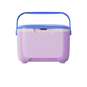 Afrique du Sud Vente chaude OEM ODM Personnalisé 10qt Glacière portable <span class=keywords><strong>en</strong></span> plastique grande capacité pour pique-nique et camping, glacière d'extérieur - Product Image 1