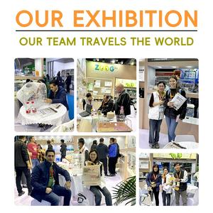 Alimentador automático de plástico ecológico para loros, <span class=keywords><strong>bebedero</strong></span> para cacatúas, tortolitos, pájaros pequeños/medianos, pájaro sólido antiderrames - Product Image 4