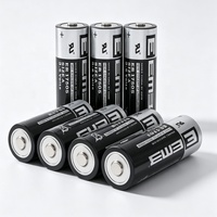 Batería Desechable de Iones de Litio No Recargable CKXIC ER17505, 6500mAh, 3.6V, Protección de Circuito, Montaje en Panel Térmico Magnético, 240A