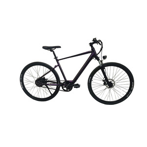 Vtt électrique de 250w avec petite batterie au Lithium 36V - Product Image 1