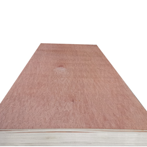 18mm bintangor cara tablero <span class=keywords><strong>contrachapado</strong></span> <span class=keywords><strong>de</strong></span> núcleo álamo para embalaje - Product Image 1