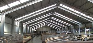 Một cửa dịch vụ di động bò sữa nông nghiệp đổ thiết kế bò sữa bò đúc sẵn Kết Cấu Thép đổ xây dựng gia súc - Product Image 2