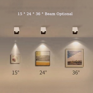 Duy Nhất Đôi Đầu Thay Đổi Độ Sáng Vuông Bề Mặt Gắn Downlight 15W/20W/30W Nhôm <span class=keywords><strong>Cree</strong></span> COB <span class=keywords><strong>LED</strong></span> 15/30/45 Chùm Tia Góc - Product Image 4