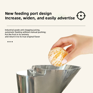 Fully Automatic Stainless Steel Commercial <b>Juicer</b> Ginger and Carrot Extractor - Product Image 4