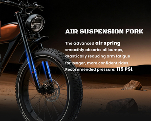 Bicicleta Eléctrica 2026 Cheetah Pro Vintage con Motor Trasero de 1000W, Batería de 48V 30AH, Cuadro de Aleación de Aluminio - Product Image 3