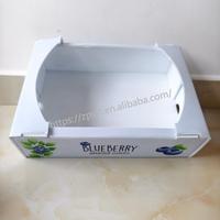 Boîte d'emballage en carton creux PP robuste et durable du fabricant chinois Boîtes logistiques pliantes réutilisables pour fruits et légumes