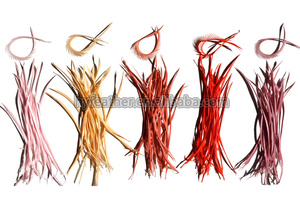 Plume d'oie Biot naturelle en vrac pour matériel de montage de mouches artisanat Costume de bricolage chapeau de chapellerie fascinateur accessoire de cheveux décor de noël de fête - Product Image 6