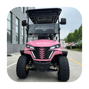 รถกอล์ฟออฟโร้ดขนาด2ที่นั่งรถกอล์ฟขนาดเล็ก48V รถกอล์ฟสำหรับถนนถูกกฎหมาย - Product Image 1