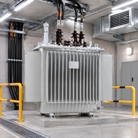 Transformateur de puissance triphasé pour sous-station pétrochimique 10kV-550kV, noyau en acier silicium, 50/60Hz, sortie 500V pour réseau électrique