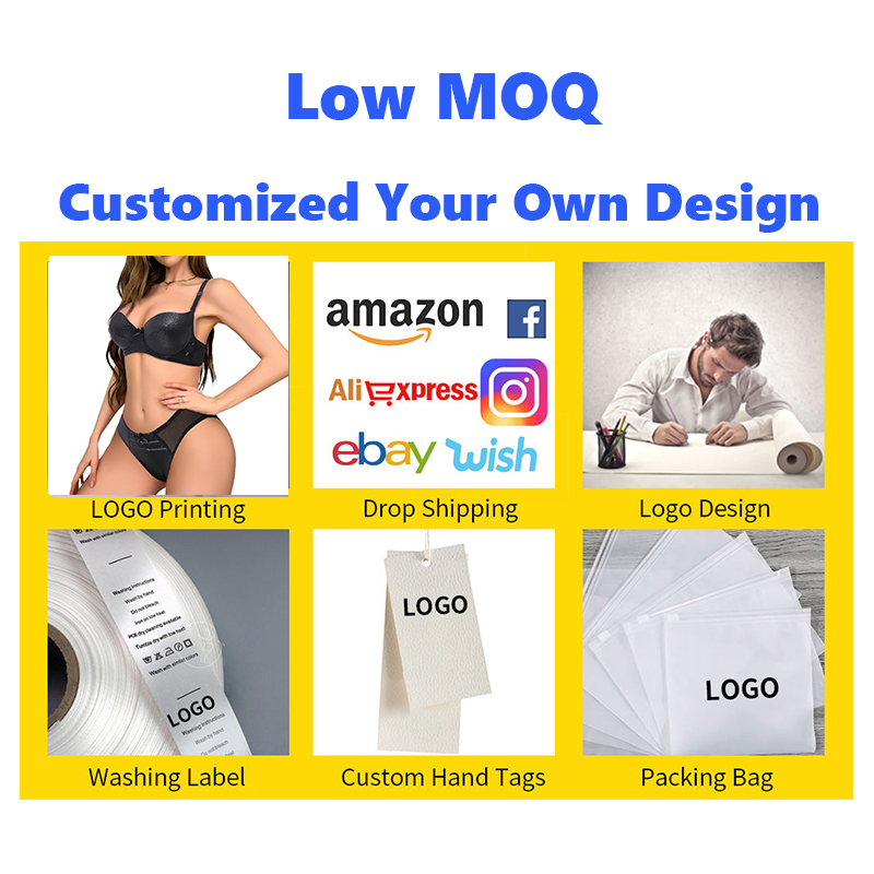 Wholesale Sexy Lingerie Lace Transparent Underwear Ladies Bras and Panties Set for Women