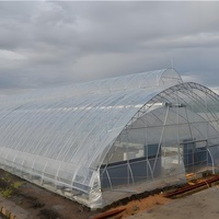 Serre tunnel à simple portée de petite taille à faible coût avec couverture en PE protégée contre les UV, 12 fenêtres et moustiquaires enroulables pour la culture des champignons