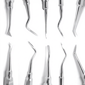 Elevadores Dentales de Acero Inoxidable Premium al por Mayor, Equipo Quirúrgico para Clínicas, Elevadores Dentales de Grado Hospitalario - Product Image 1