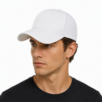 Gorra de Béisbol Deportiva Ajustable de Alta Calidad con Logotipo Personalizado, Gorra de Papá de Algodón Bordada en 3D de 6 Paneles, Calidad de Marca OEM