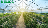 Serre en plastique de 30 x 10 m à vendre, taille personnalisée, serre agricole