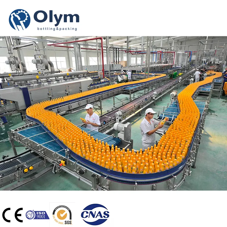 Small Business Orange Apple Juice Making Machines from a to z Juice Filling Production Line