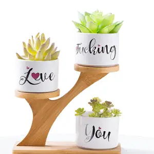 Set di fioriere succulente in ceramica creativa nordica redco con vassoio in bambù vasi da fiori unici vasi da giardino bianchi per la decorazione domestica