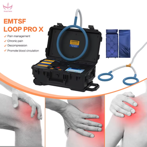 เครื่องบำบัด PEMF แม็กเนติคเบลล์ สำหรับกายภาพบำบัด บรรเทาอาการปวดจากการบาดเจ็บจากการเล่นกีฬา ดูแลสุขภาพสัตว์ และกายภาพบำบัด - Product Image 2