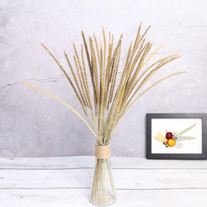 Ventes directes d'usine coloré préservé Kirin herbe fleurs réel naturel séché licorne herbe coton Setaria <span class=keywords><strong>Pumila</strong></span> nouvelle-zélande - Product Image 1