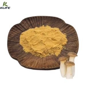 Extracto de hongo King Oyster natural en polvo EXTRACTO DE Pleurotus <span class=keywords><strong>Eryngii</strong></span> - Product Image 2