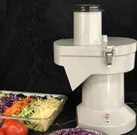 Commerciële Plantaardige Chopper Komkommer Tomaat Mango Slicer Shredder Cube Fruit Kubus Snijmachine