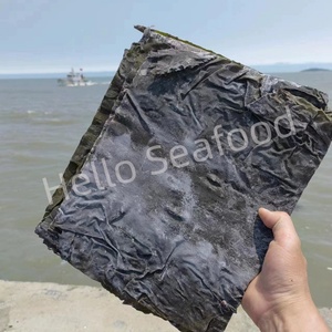 Fujian Xiapu แผ่นสาหร่ายทะเลแห้งเกรดอาหารผ่านกรรมวิธีคุณภาพที่สม่ำเสมอ - Product Image 6