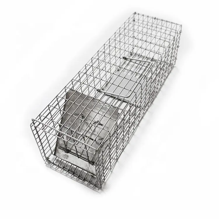 Armadilha amigável animal rato reprodução roedor laboratório gaiola armadilhas para armadilha animal selvagem