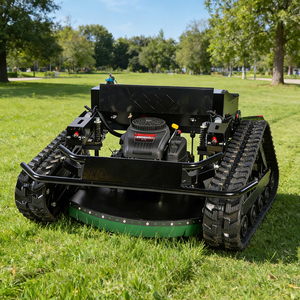Tagliaerba Telecomandato Industriale <span class=keywords><strong>da</strong></span> 200mm con Motore a 4 Tempi <span class=keywords><strong>per</strong></span> Giardini, Fattorie, Diserbo e Pulizia del Terreno - Product Image 2