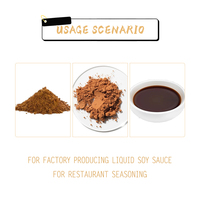 Vente en gros de poudre de sauce soja de bonne qualité pour les usines et les restaurants
