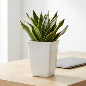 Wholesale Modern Minimalist Smooth White Tall <b>Square</b> Plastic Flower <b>Pots</b> Weather Resistant PP Planters Factory Direct - Product Image 1
