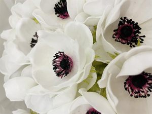 ดอกป๊อปปี้ประดิษฐ์ขนาด 65 ซม. ทำจากผ้าไหม 5 หัว พร้อมก้านดอกแบบฟล็อก ตกแต่งบ้าน ตกแต่งโต๊ะ ขนาดใหญ่ หลายสี - Product Image 6