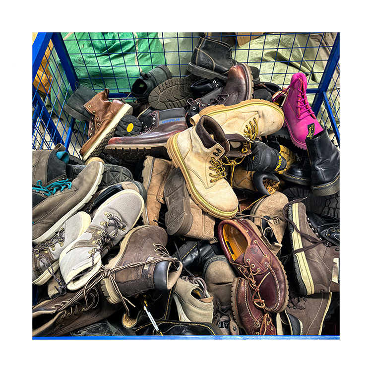 Mixed Used Branded Shoes Timber cat