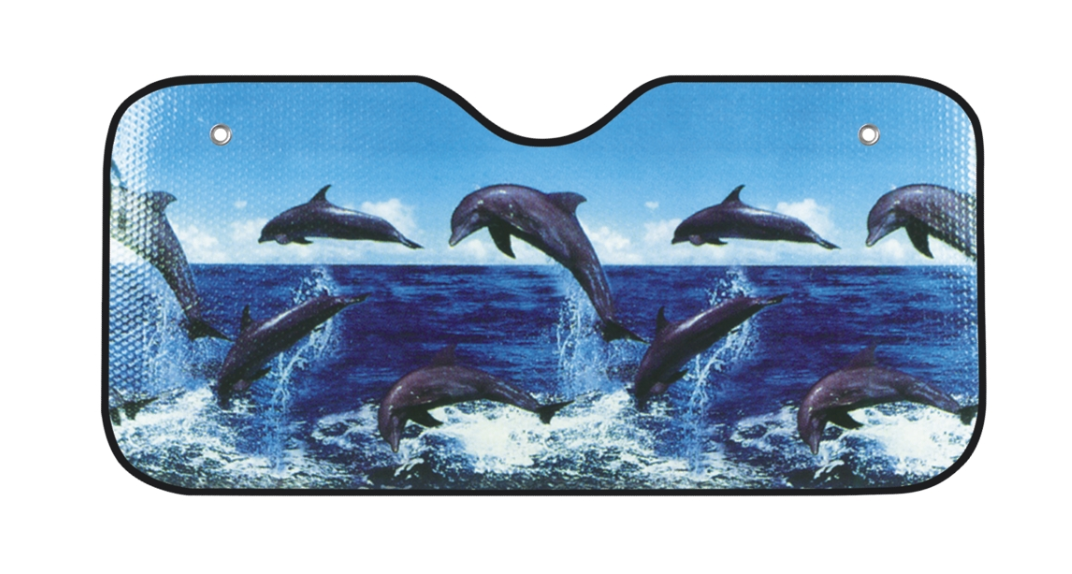 Comme le montre l'image