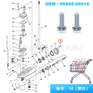 สกรูมอเตอร์เรือยามาฮ่า 95895-06016 สำหรับอะไหล่เปลี่ยนเกียร์ 4 5 6 แรงม้า - Product Image 5